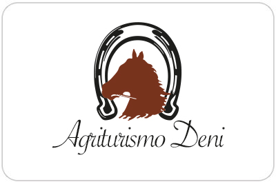 Agenzia web a Cecina